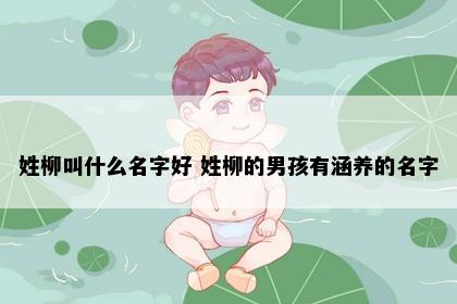 姓柳叫什么名字好 姓柳的男孩有涵养的名字
