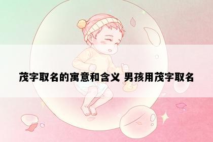 茂字取名的寓意和含义 男孩用茂字取名