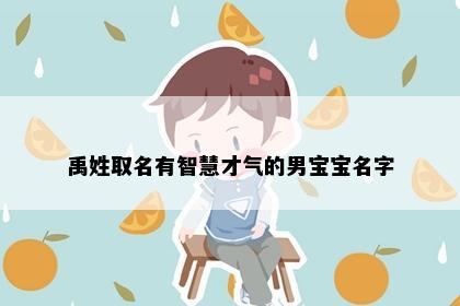 禹姓取名有智慧才气的男宝宝名字